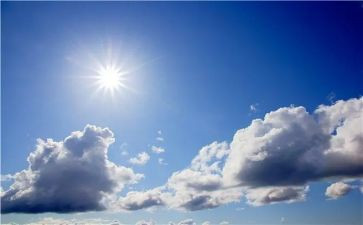 太阳的爱读后感8篇