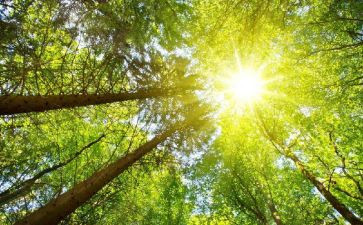 太阳泪观后感8篇