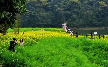 踏青节活动策划优质6篇