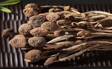 赣榆特产作文参考5篇