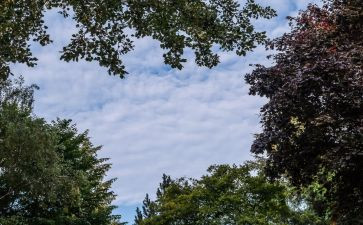 我的一片天空700作文模板5篇