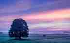 描写天空作文6篇