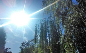 天气预报教案优质6篇