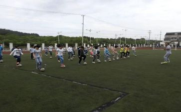 小学体卫生工作总结推荐5篇