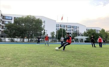 小学体卫生工作总结7篇