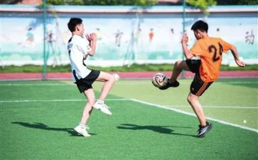 体委会工作报告8篇