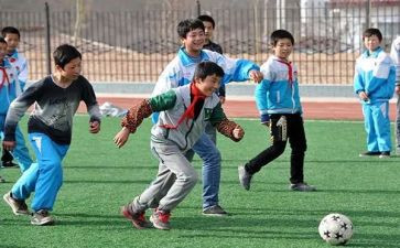 关于体育活动的幼儿园教案精选7篇