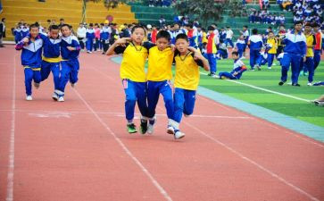 关于体育活动的幼儿园教案模板5篇