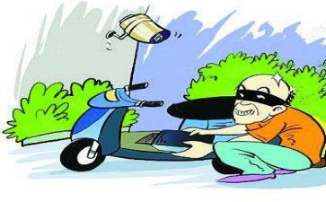 小偷偷菜作文8篇