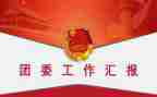 省团委工作报告7篇