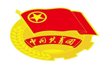 团支部一学年工作总结5篇