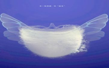 蜕变中成长作文推荐8篇