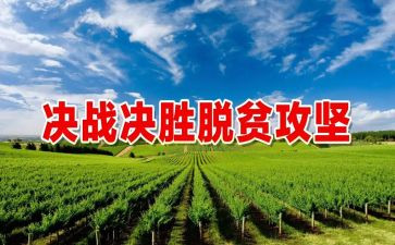 脱贫攻工作计划8篇