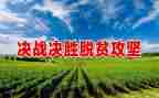 脱贫攻工作计划8篇