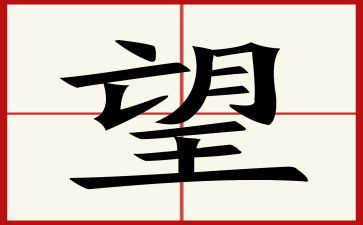愿望的作文800字8篇