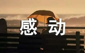 让我感动的几件事作文最新8篇
