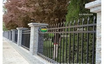围墙的读后感5篇
