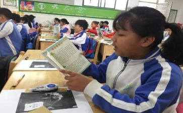 作文课说课模板模板5篇