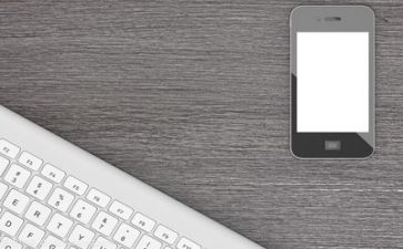 文员总结报告5篇