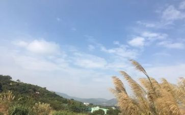 我的一天优秀作文通用7篇