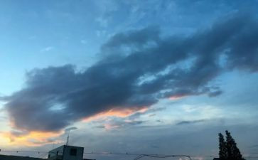 我的一天英作文7篇