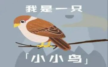 写小鸟的作文300字7篇