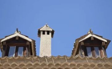 我想握住你的手800字作文6篇