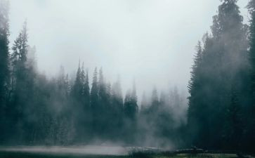 雾语言教案推荐5篇