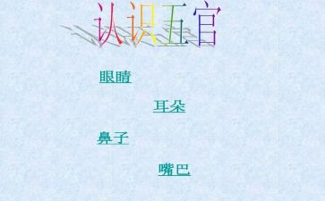 《五官》作文最新8篇