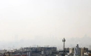 污染的调查报告模板5篇