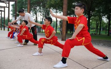 武术操工作计划8篇