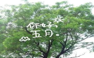 五月份的演讲稿6篇