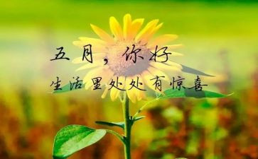 五月份幼儿园工作计划7篇