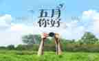 五月份小小班的工作计划优质8篇