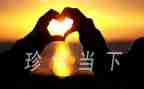 珍惜水作文500字优秀8篇