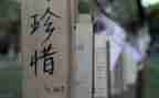 珍惜水演讲稿600字优质6篇