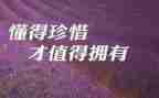 爱惜纸的教案优质5篇
