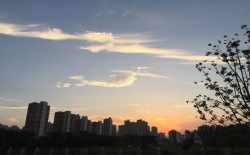 高一年级下班主任工作计划推荐7篇