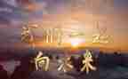 向未来作文600字精选6篇