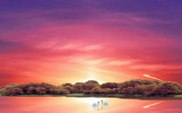 骆驼祥子三读后感模板5篇