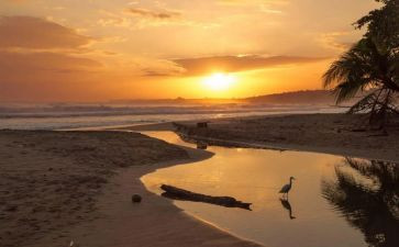 骆驼的祥子读后感700字精选7篇