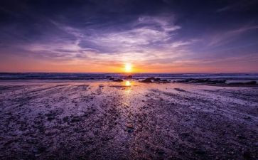 骆驼祥子三读后感参考7篇