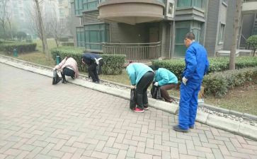 小区保洁的工作总结8篇
