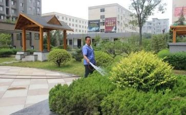 2024小区物业工作总结报告5篇