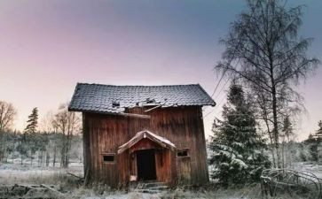 埋在雪下的小屋的读后感6篇