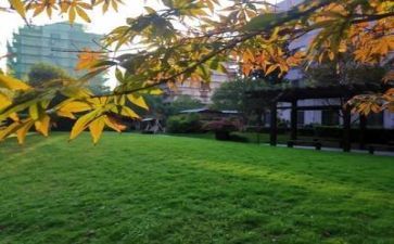 校园环保的活动方案8篇