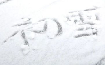 写下雪的作文300字5篇