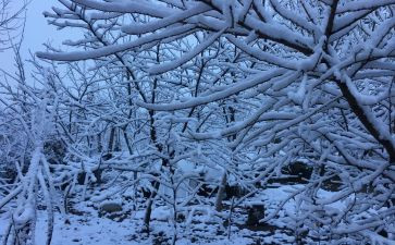 下雪啦小班语言教案7篇
