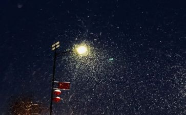 写下雪的作文300字参考7篇
