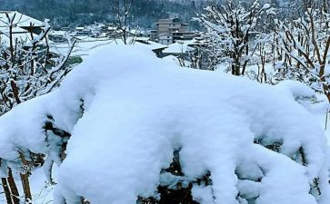 下雪时的作文7篇